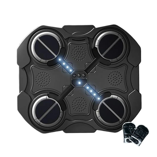 Aparat Muzical pentru Box