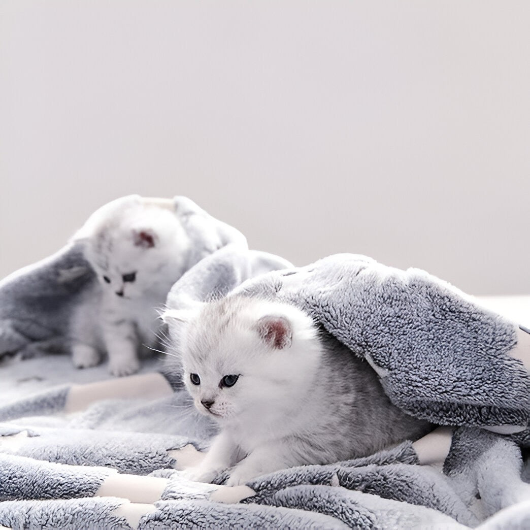 Pătură care strălucește în întunericSelexmo 1,5 x 2 m