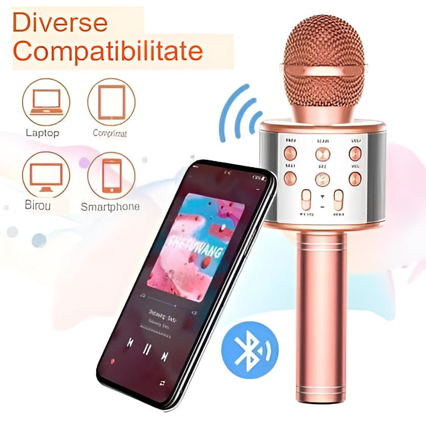Microfon Karaoke