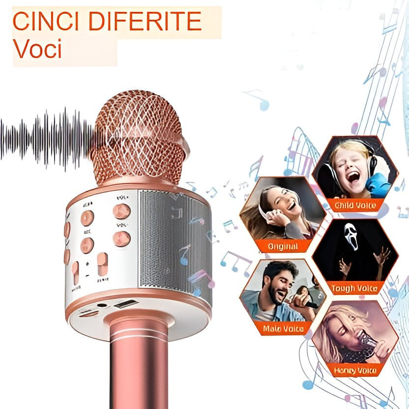 Microfon Karaoke