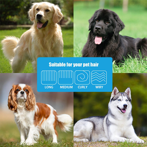 PetBrush 🐾 - Perie dublă pentru îndepărtarea părului și a pufului