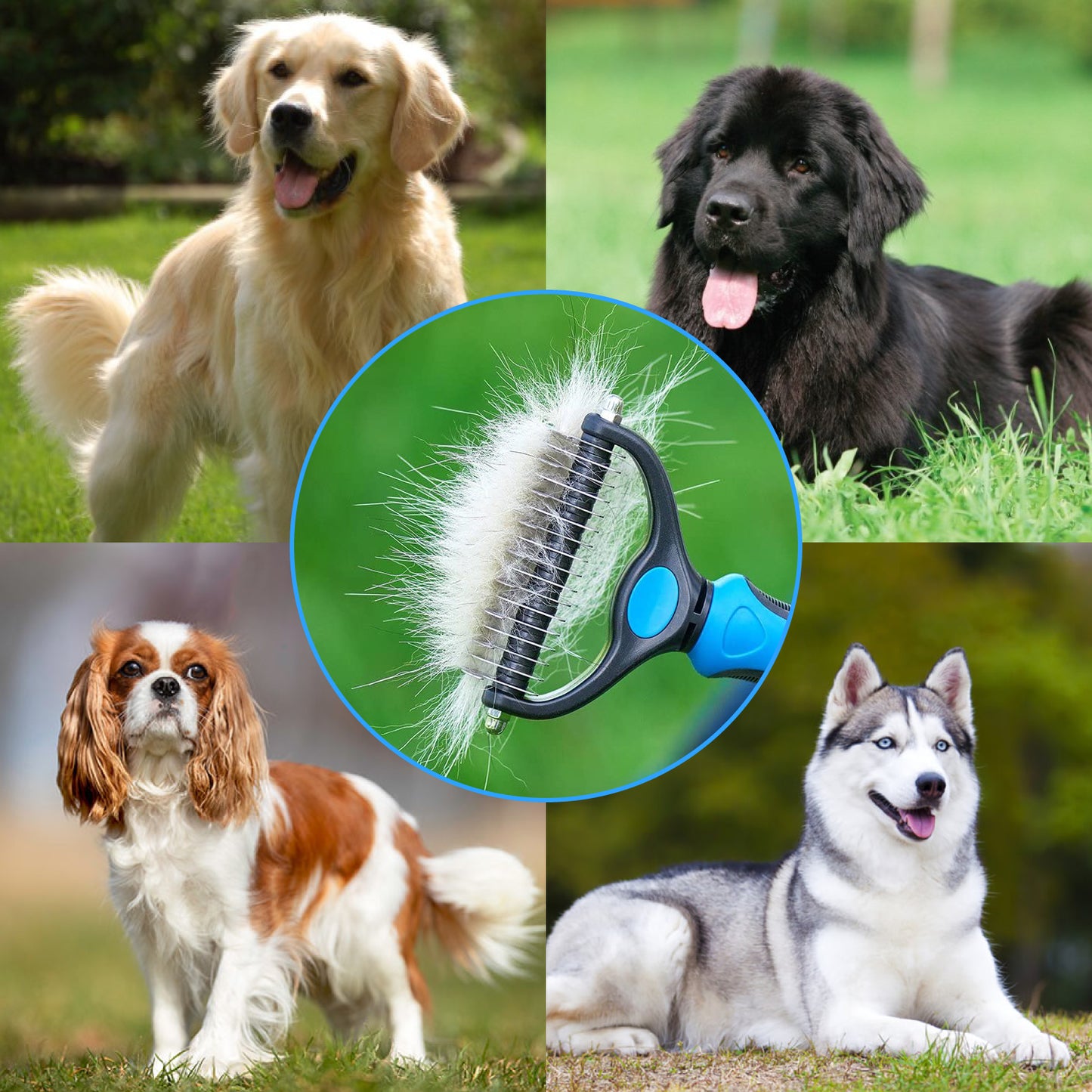 PetBrush 🐾 - Perie dublă pentru îndepărtarea părului și a pufului