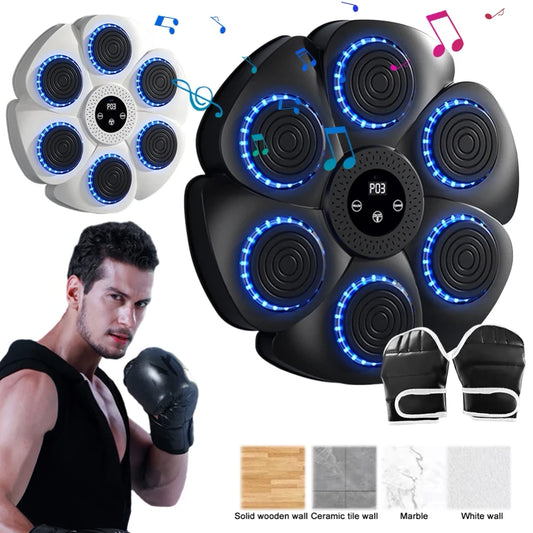 Aparat Muzical pentru Box