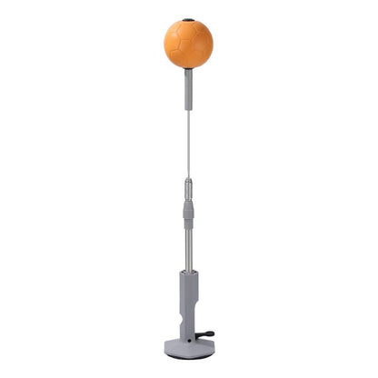 Set de Box cu Minge, cu Ventuza de Prindere, Extensibil, Inaltime Reglabila 130-152 cm, Minge de 11 cm